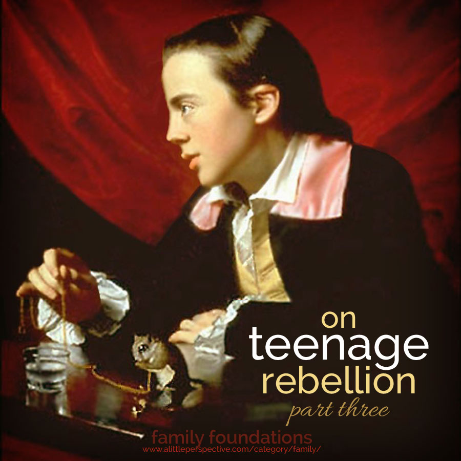 on teenage rebellion, part three | family foundations at a little perspective