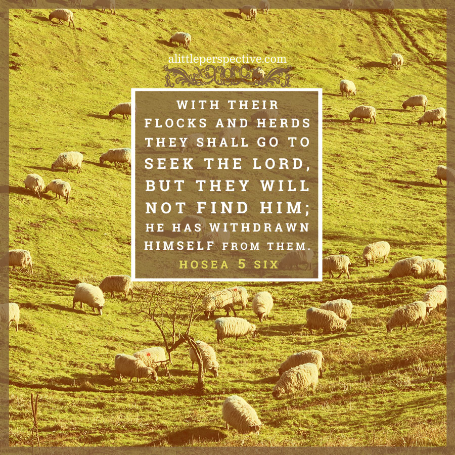 Hos 5:6 | scripture pictures at alittleperspective.com