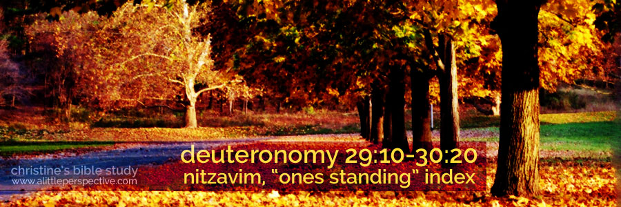 deuteronomy 29:10-30:3, nitzavim "ones standing" index | christine's bible study at a little perspective