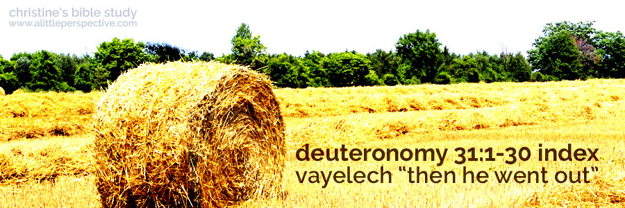 deuteronomy 31:1-30, vayelech "then he went out" index | christine's bible study at a little perspective
