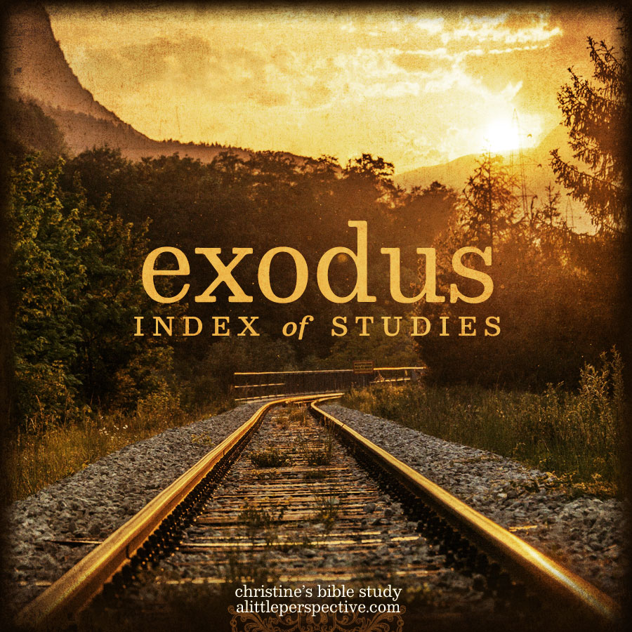 exodus index of studies | christine's bible study at alittleperspective.com