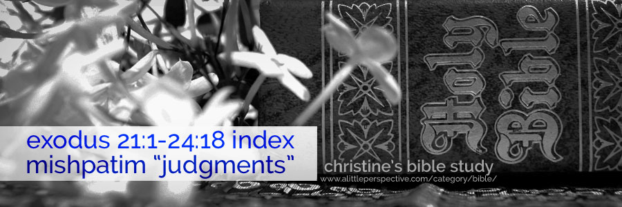 exodus 21:1-24:18 index mishpatim "judgments" | christine's bible study at a little perspective