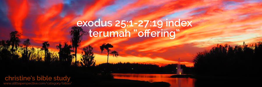exodus 25:1-27:19 terumah "offering" index | christine's bible study at a little perspective