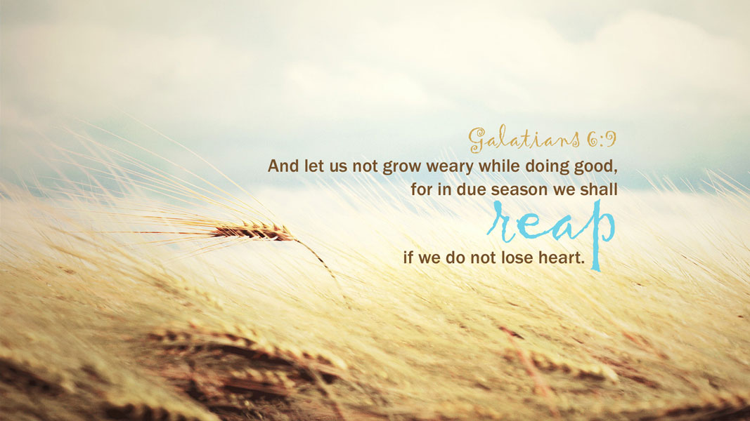 And let us not grow weary while doing good, for is due season we shall reap if we do not lose heart.