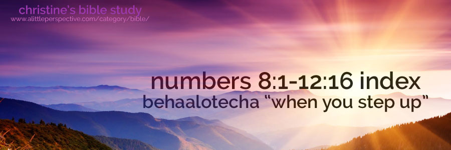 numbers 8:1-12:16 behaalotecha "when you step up" index | christine's bible study at a little perspective
