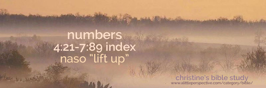 numbers 4:21-7:89 naso "lift up" index | christine's bible study at a little perspective