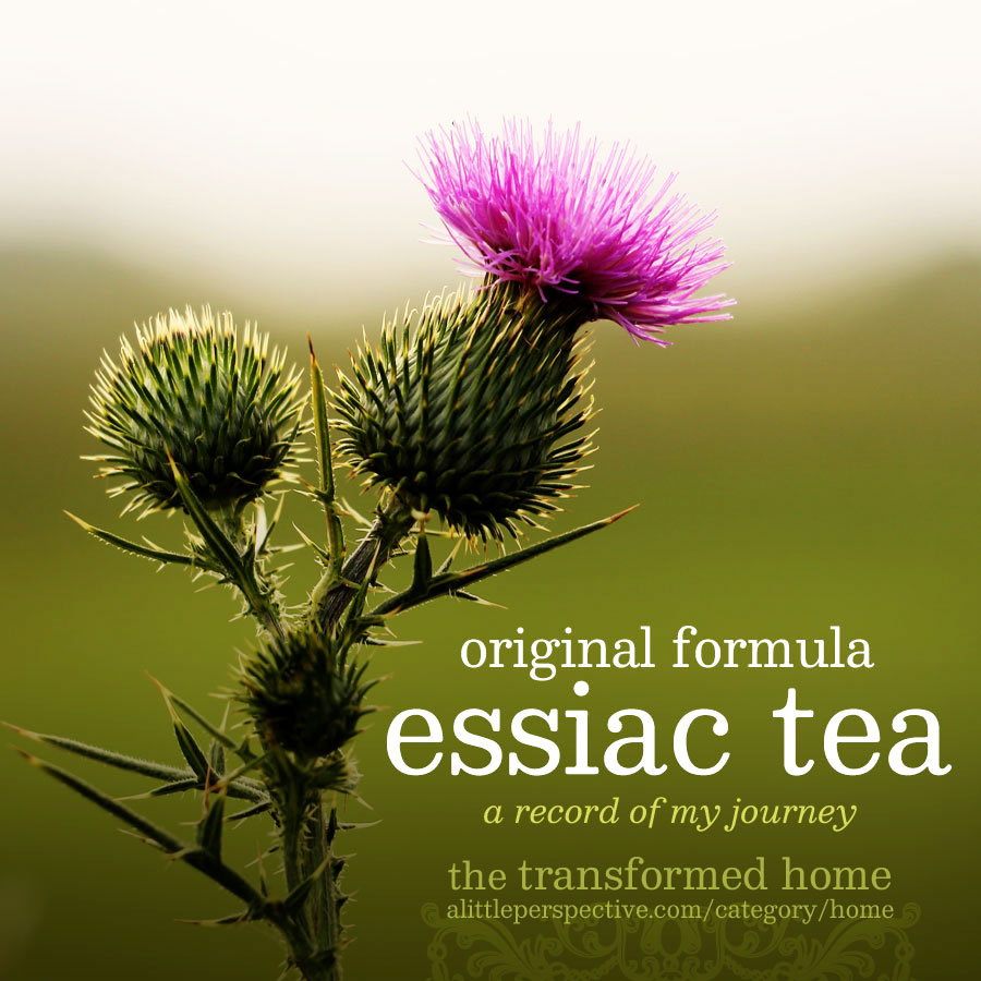 essiac tea | the transformed home @ alittleperspective.com
