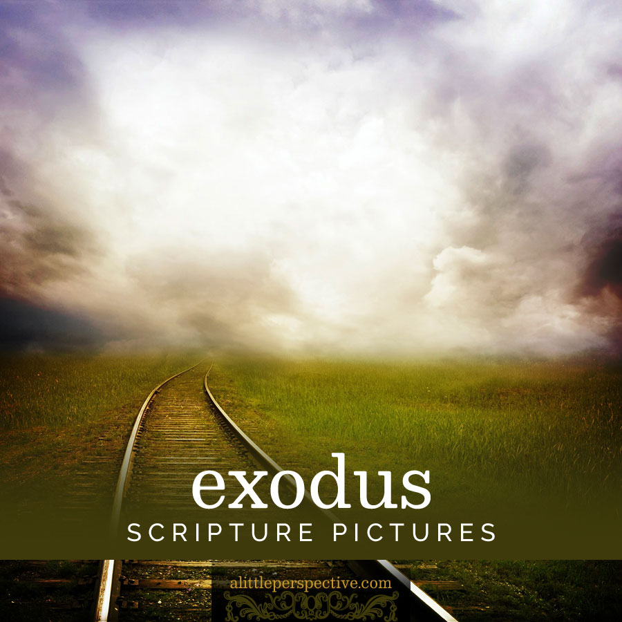 exodus scripture pictures | alittleperspective.com