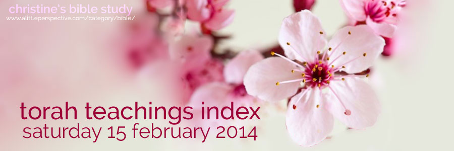 torah teachings index for saturday 15 feb 2014 | christine's bible study at a little perspective