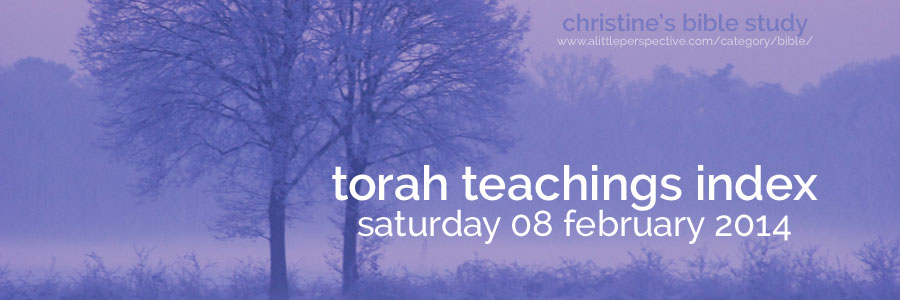 torah teachings index sat 08 feb 2014 | christine's bible study at a little perspective
