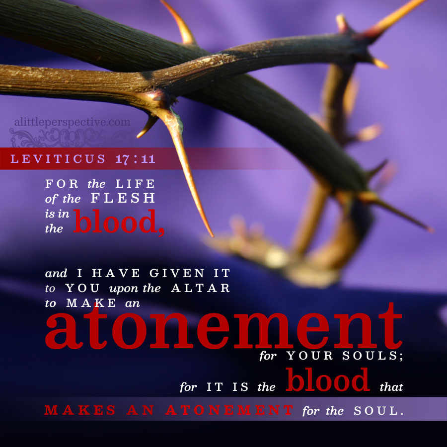 Lev 17:11 | scripture pictures at alittleperspective.com