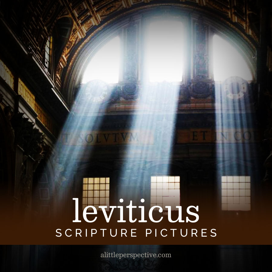 leviticus scripture pictures | alittleperspective.com