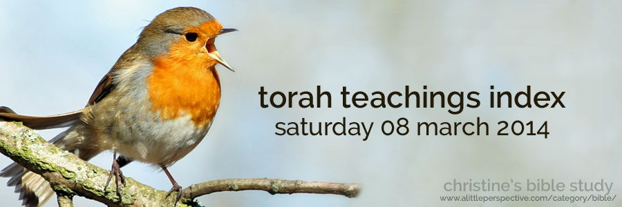 torah teachings index for sat 08 mar 2014 | christine's bible study at a little perspective
