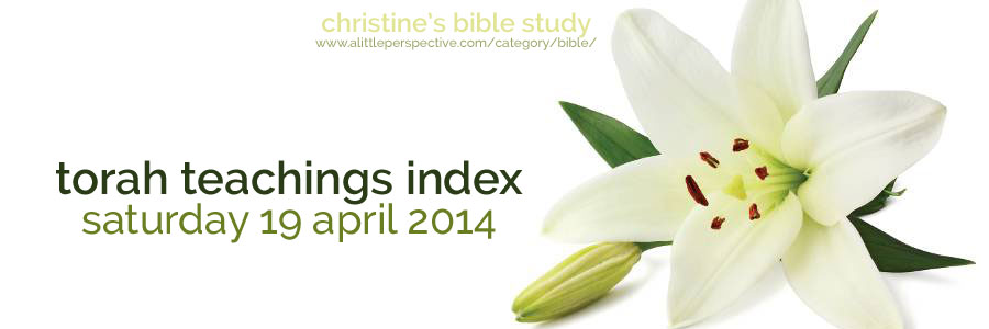 torah teachings index for sat 19 apr 2014 | christine's bible study at a little perspective
