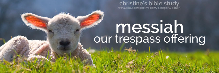 messiah, our trespass offering (asham) | christine's bible study at a little perspective