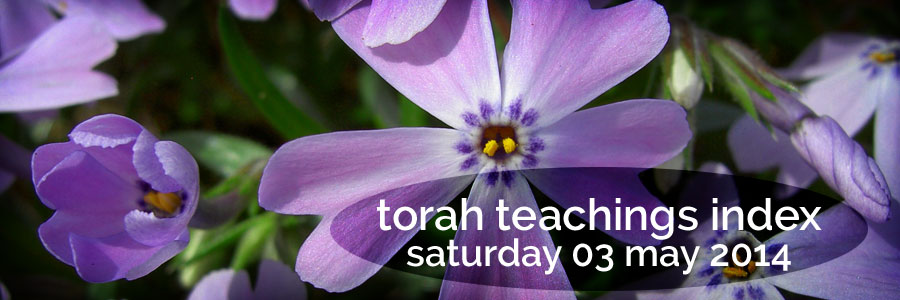 torah teachings index for sat 03 may 2014 | christine's bible study at a little perspective
