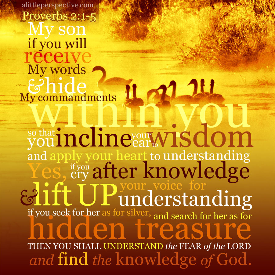 Pro 2:1-5 | scripture pictures at alittleperspective.com