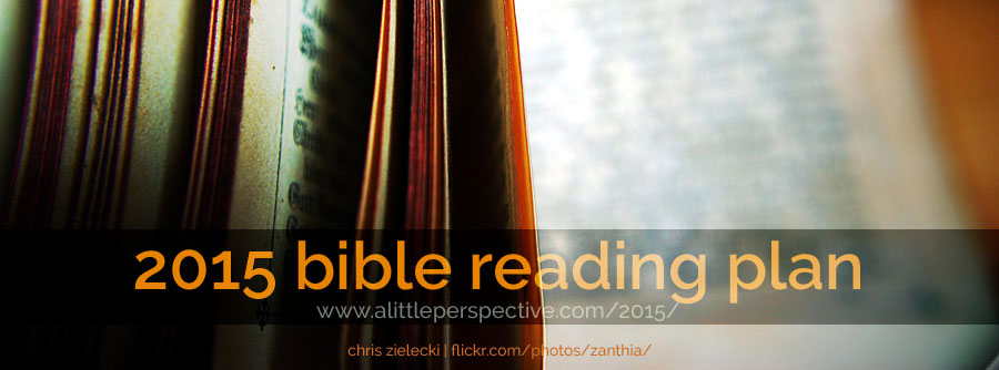 2015 bible reading plan | a little perspective