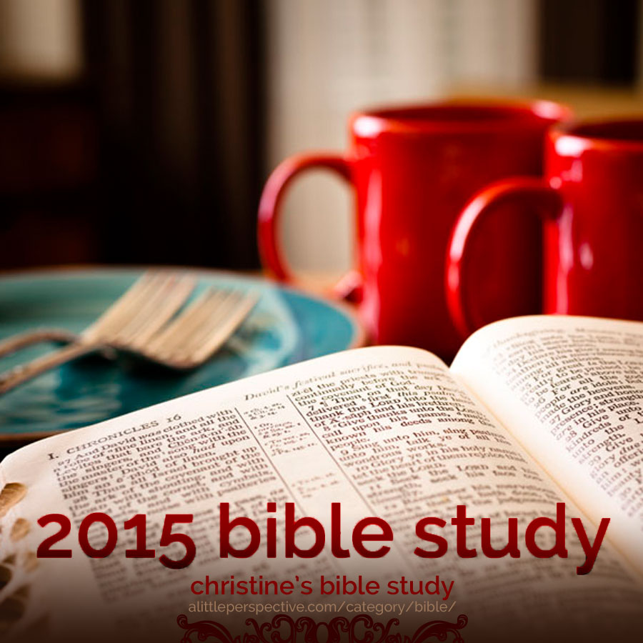 2015 bible study plan | christine's bible study at alittleperspective.com