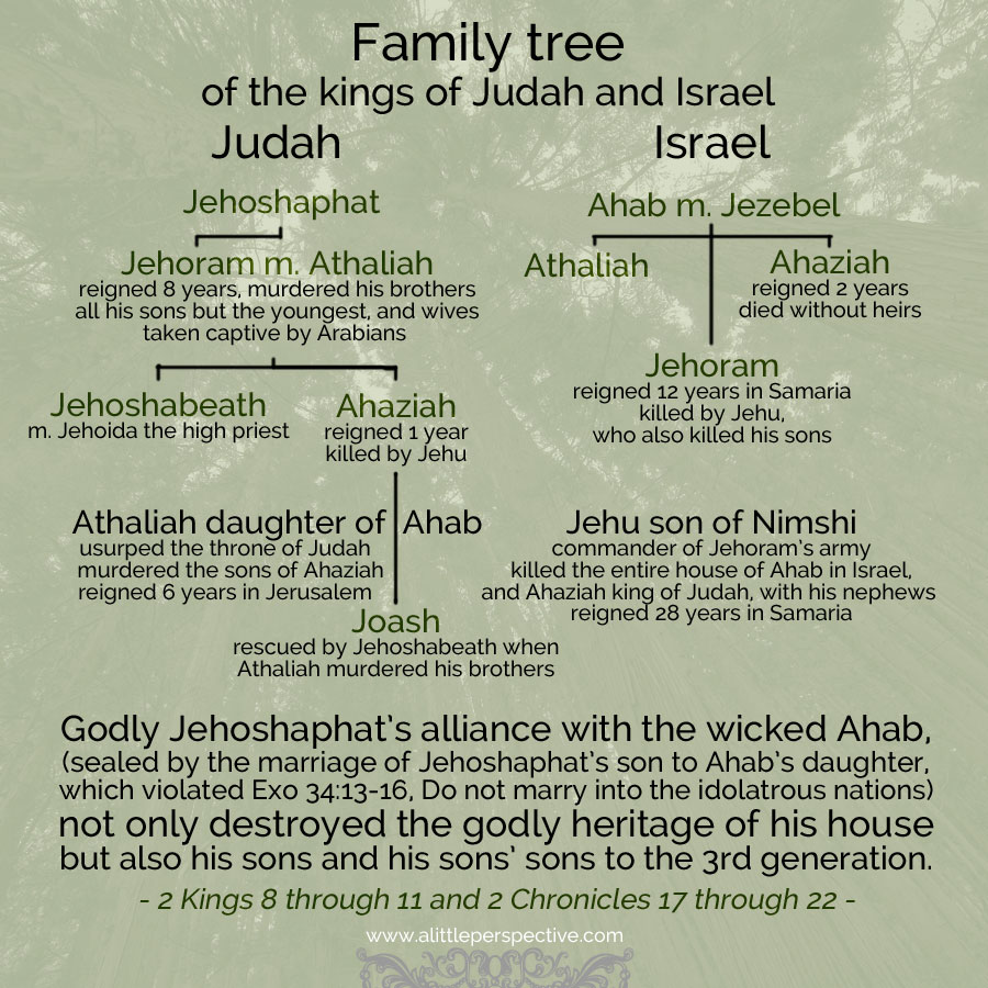 kings of judah and israel family tree | christine's bible study at alittleperspective.com