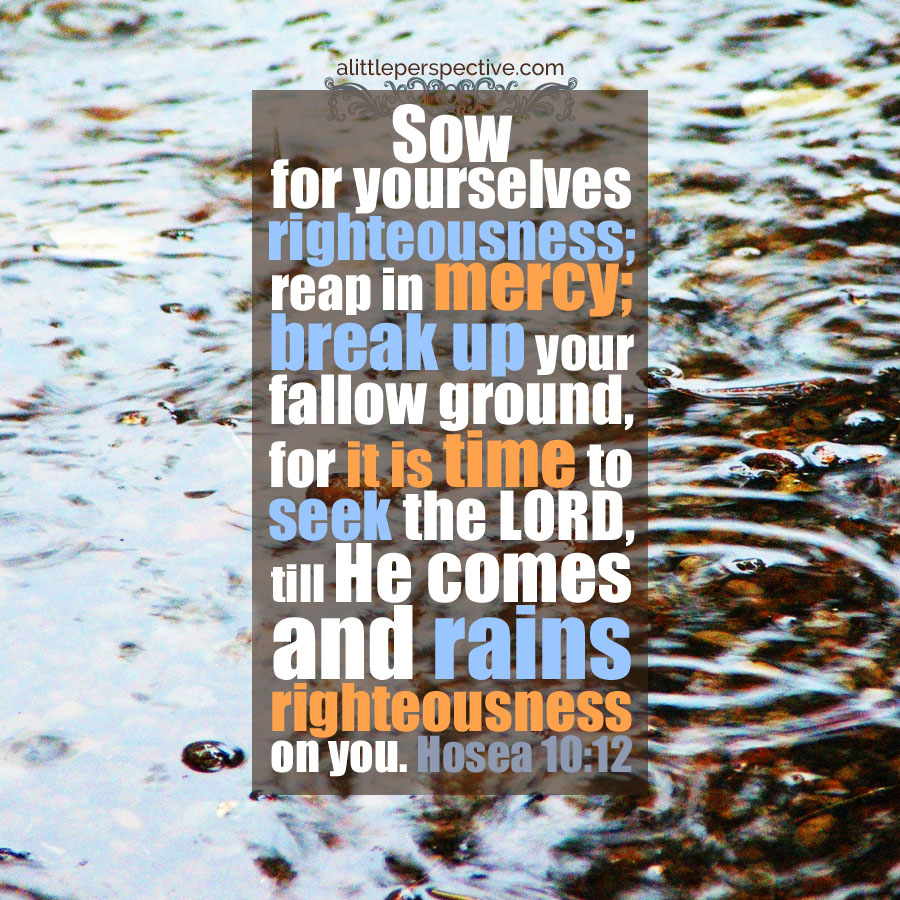 Hos 10:12 | scripture pictures at alittleperspective.com