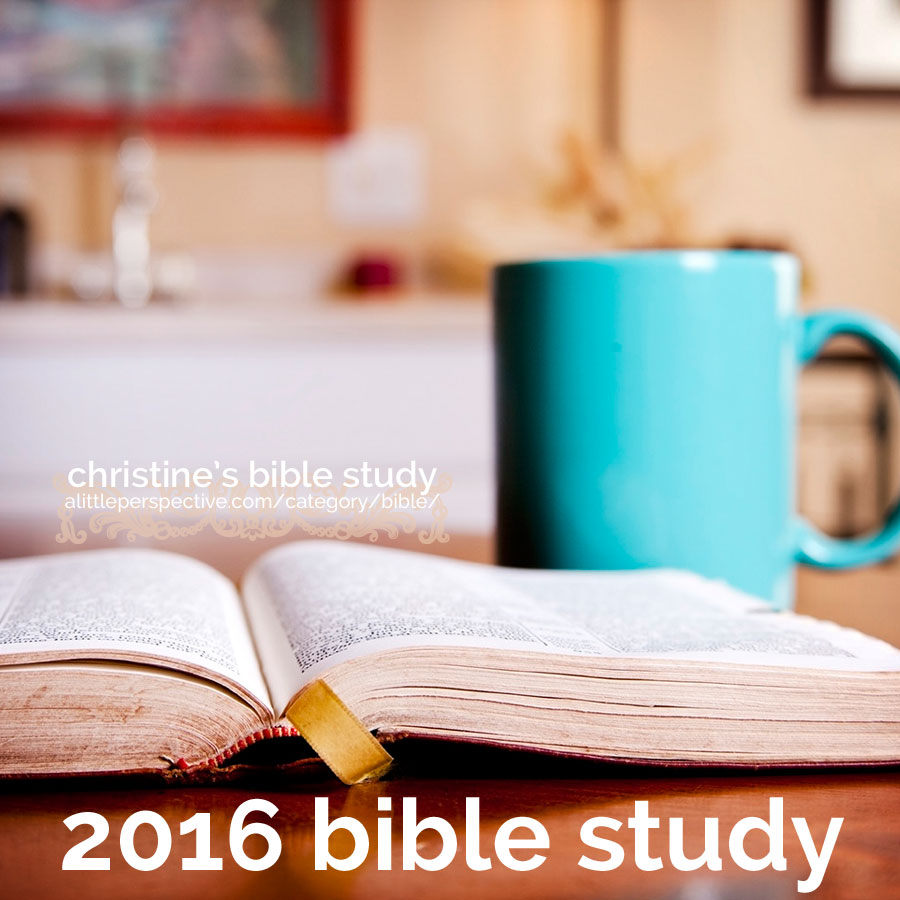 2016 bible study plans | christine's bible study at alittleperspective.com