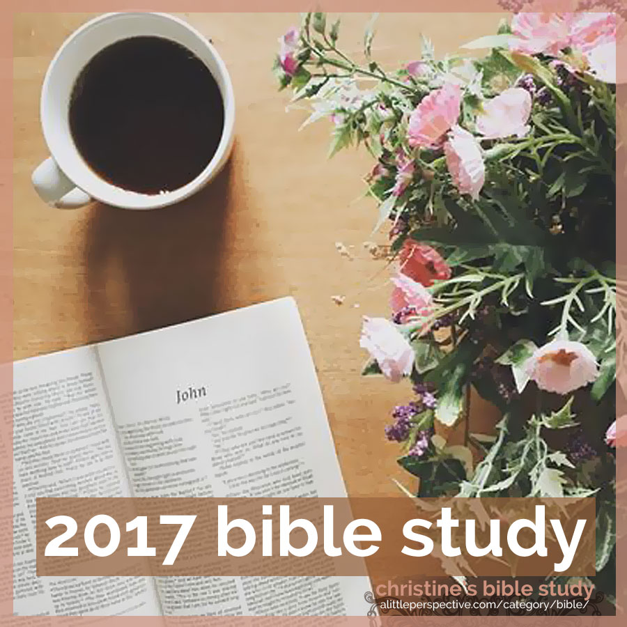 2017 bible study | christine's bible study at alittleperspective.com