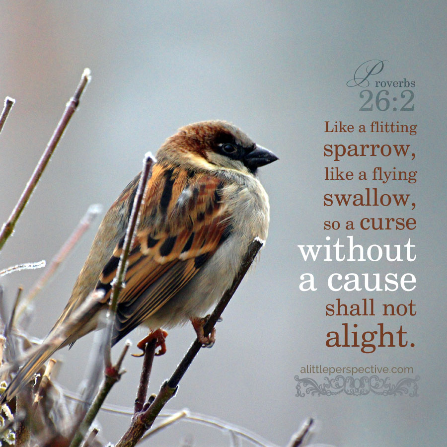 Pro 26:2 | scripture pictures at alittleperspective.com