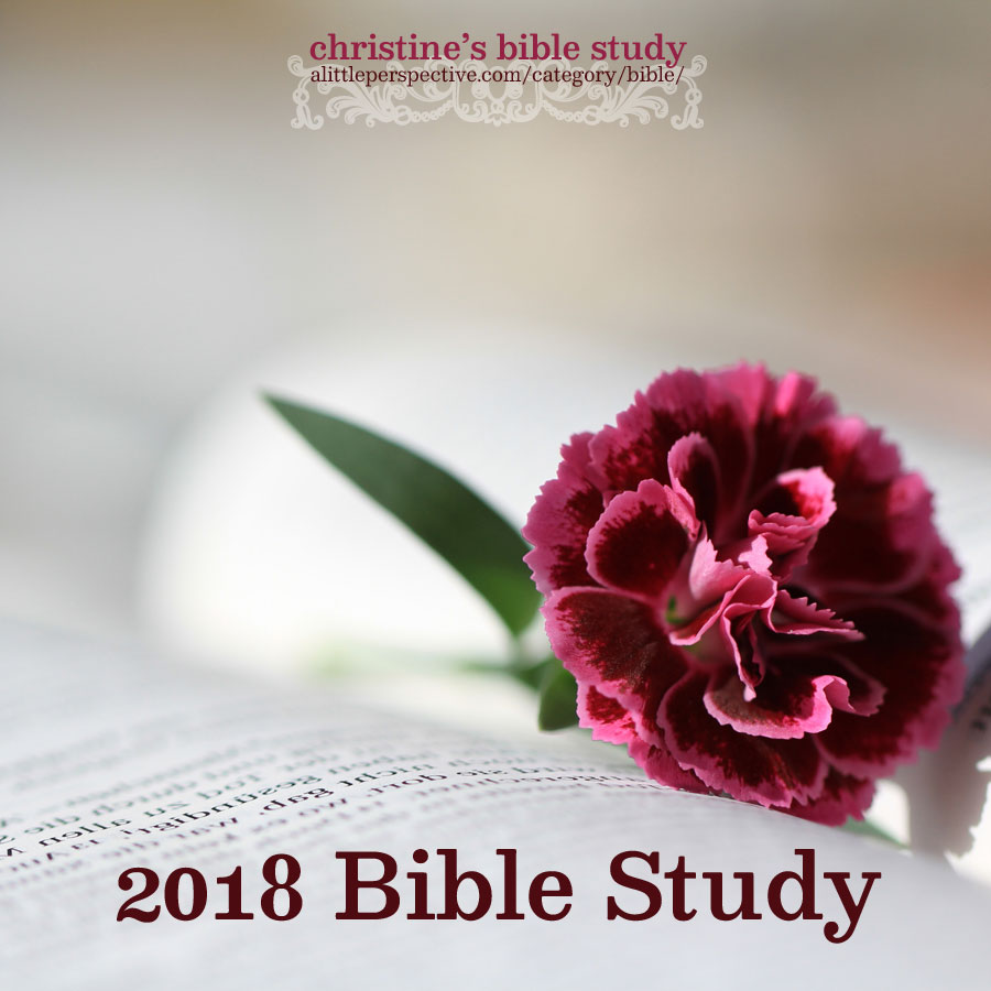 2018 Bible Study | christine's bible study at alittleperspective.com