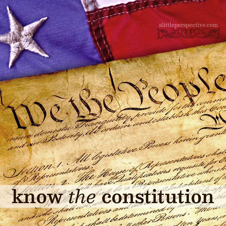 know the constitution | alittleperspective.com