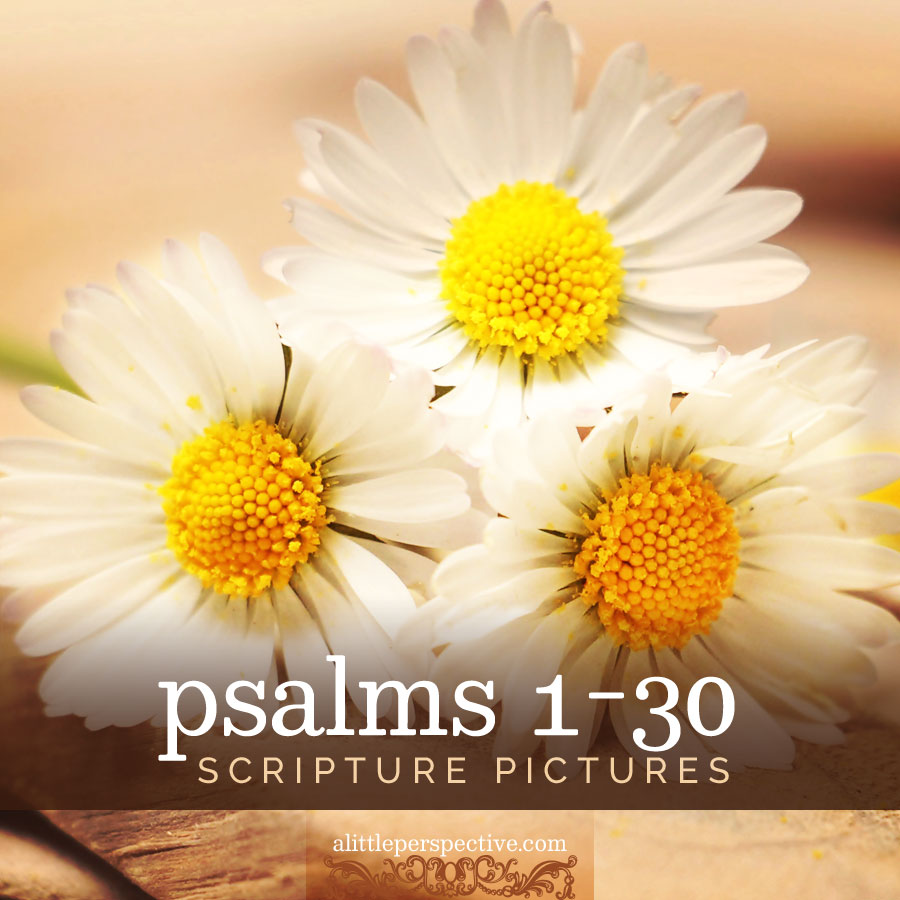 psalms 1-30 scripture pictures | alittleperspective.com