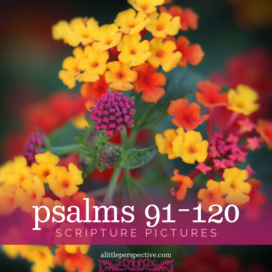 psalms 91-120 scripture pictures | alittleperspective.com