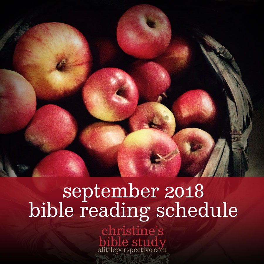 september 2018 bible reading schedule | christine's bible reading at alittleperspective.com