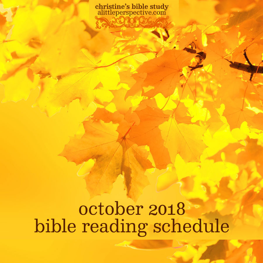 october 2018 bible reading schedule | christine's bible study at alittleperspective.com
