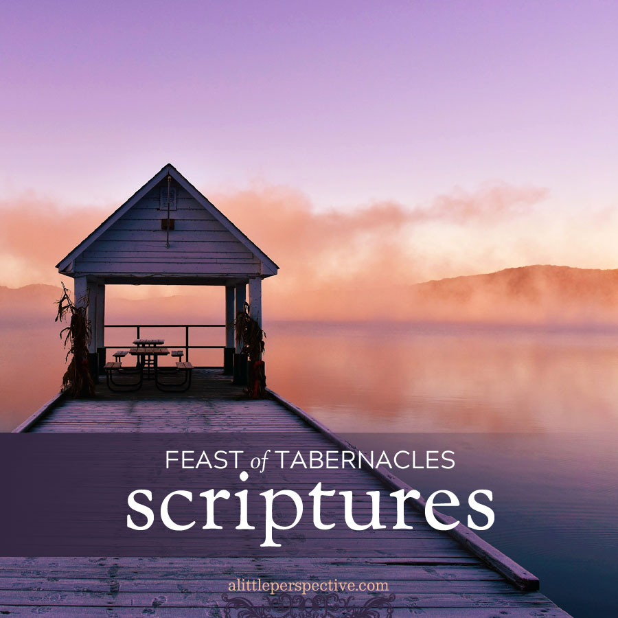feast of tabernacles scriptures | christine's bible study at alittleperspective.com