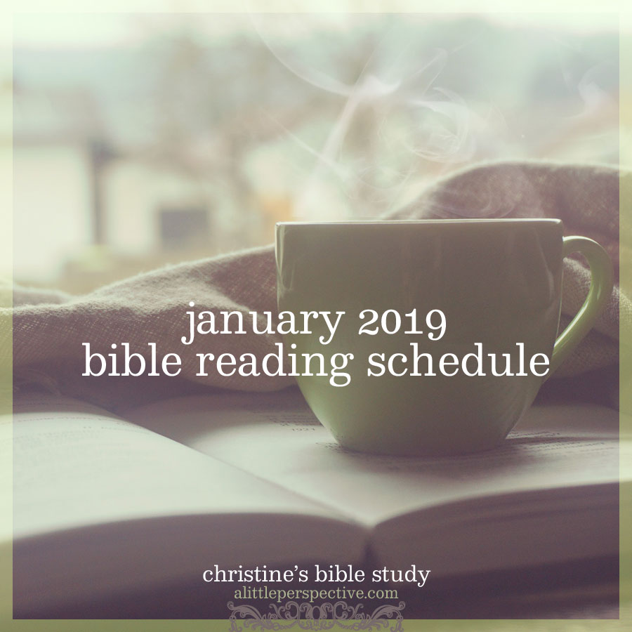 january 2019 bible reading schedule | christine's bible study at alittleperspective.com