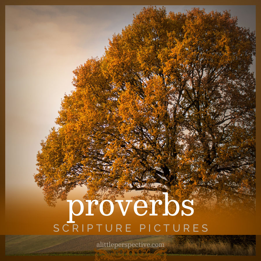 proverbs scripture pictures | alittleperspective.com