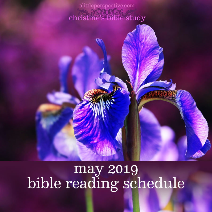 May 2019 Bible reading schedule | christine's bible study at alittleperspective.com
