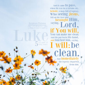 Luk 5:12-13 | scripture pictures at alittleperspective.com