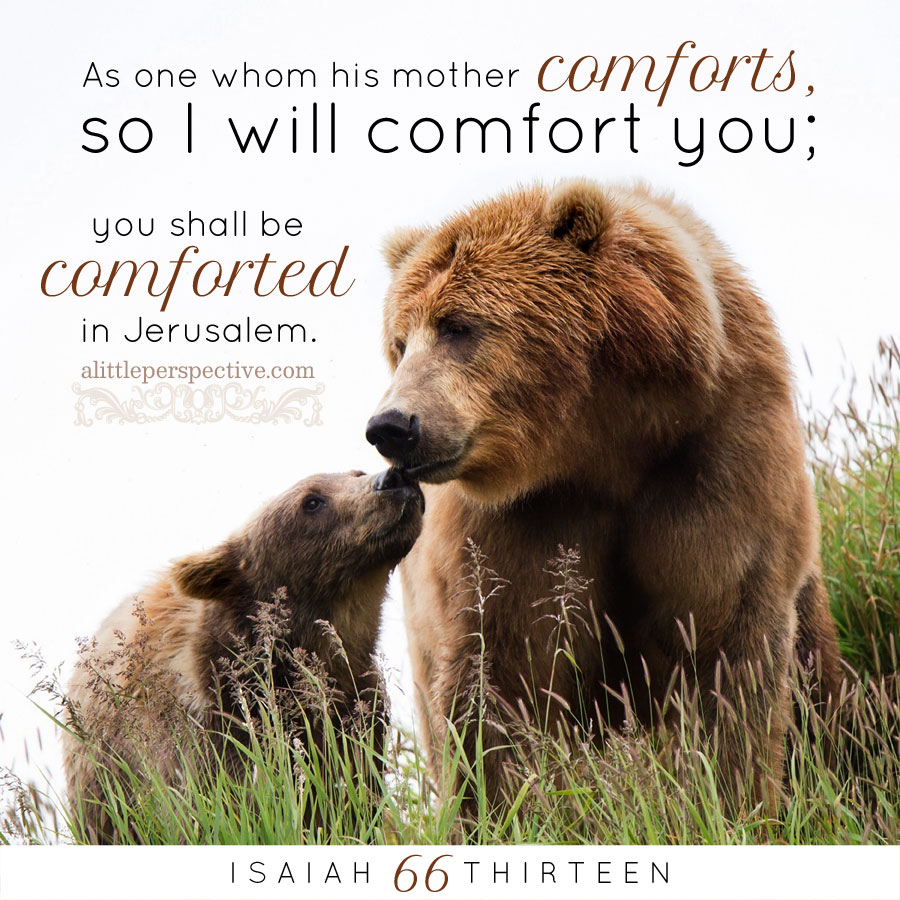 comfort as a mother comforts