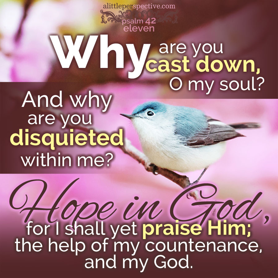 taking comfort: psalm 42