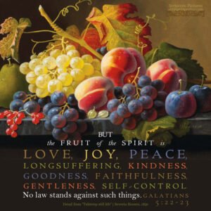 Gal 5:22-23 | Scripture Pictures @ alittleperspective.com