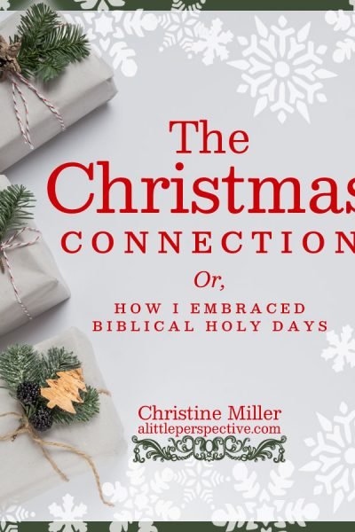 the christmas connection | alittleperspective.com
