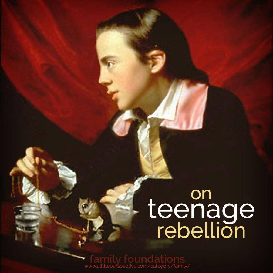 on teenage rebellion | family foundations at a little perspective