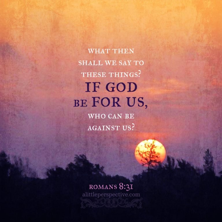 Romans 8 Verse 1 4