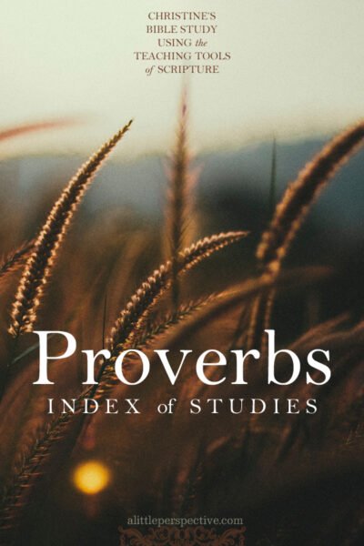 Proverbs Index of Studies | Christine's Bible Study @ alittleperspective.com