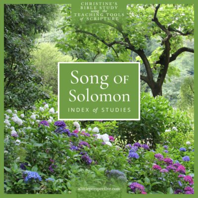 Song of Solomon Index
