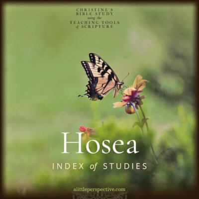 Hosea Index of Studies