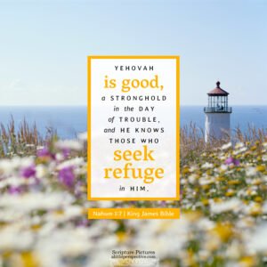Nah 1:7 | Scripture Pictures @ alittleperspective.com