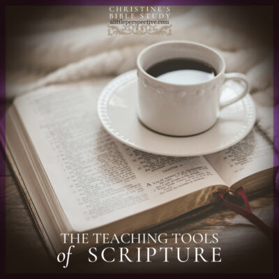 The Teaching Tools of Scripture